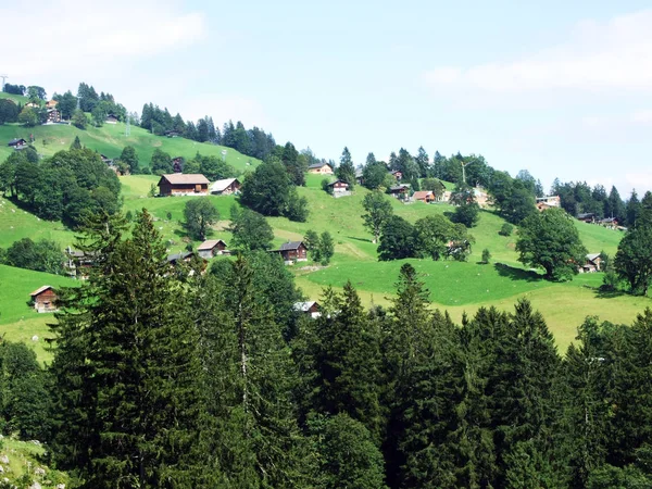 Pastizales Colinas Fotogénicas Zona Forestal Braunwald Cantón Glarus Suiza — Foto de Stock