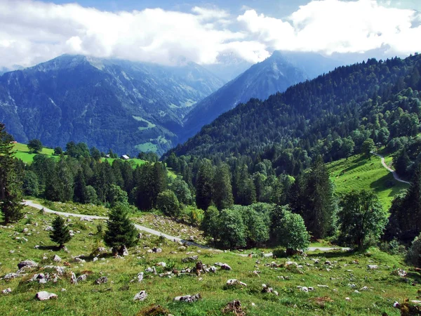 Pâturages Photogéniques Collines Forêt Braunwald Canton Glarus Suisse — Photo