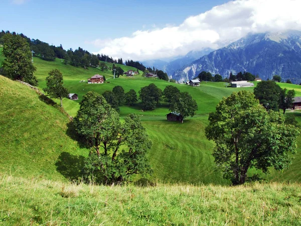 Pastagens Colinas Fotogénicas Área Florestal Braunwald Cantão Glarus Suíça — Fotografia de Stock