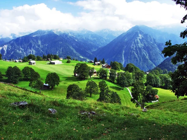 Fotogenisk Ängar Och Kullar Braunwald Forest Område Canton Glarus Schweiz — Stockfoto