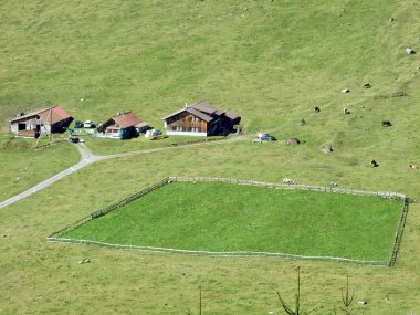 Köyler alp Vadisi Urnerboden - Uri, İsviçre