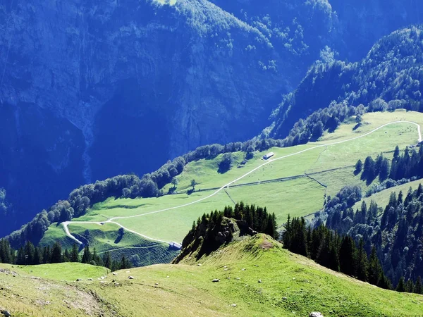 Granjas Pastos Valle Del Río Linth Valle Linthal Cantón Glarus — Foto de Stock