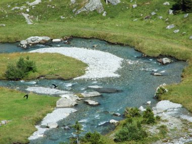 Fatschbach akışı güzel dağ Vadisi Urner Boden - Canton Uri, İsviçre