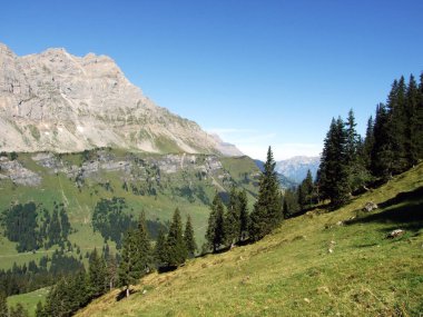 Yukarıda Braunwald orman ve Linthal Vadisi - Canton Glarus, İsviçre alp en iyi Ortstock