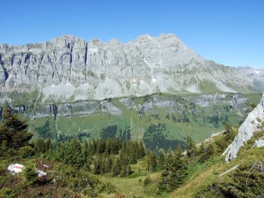 Yukarıda Braunwald orman ve Linthal Vadisi - Canton Glarus, İsviçre alp en iyi Ortstock