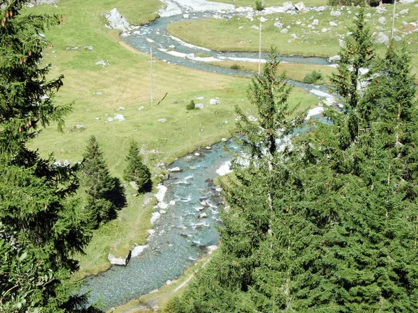 Arroyo Fatschbach Hermoso Valle Alpino Urner Boden Cantón Uri Suiza — Foto de Stock