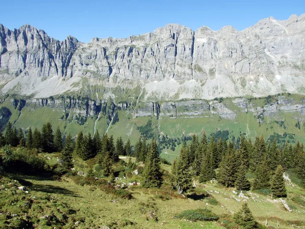 Lasy Iglaste Alpejskiej Dolinie Berneńskich Boden Kantonie Uri Szwajcaria — Zdjęcie stockowe