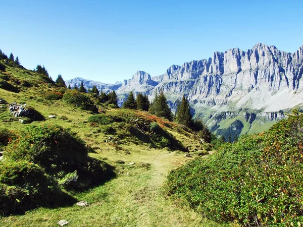Alpine Grasslands Alpine Peaks Fisetengrat Chamerstock Кантоны Ури Гларус Швейцария — стоковое фото