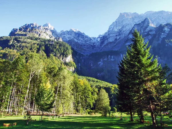 Wald Klontalersee Kanton Glarus Schweiz — Stockfoto