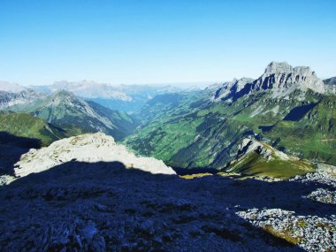 Alp dağ Vadisi mevsimlik otlaklar için Hayvancılık, Urner Boden - Uri, İsviçre