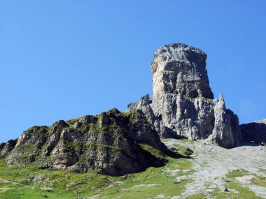 Kayalar ve üst Clariden ve alp Vadisi Urner Boden - Canton Uri, İsviçre altında taşlar