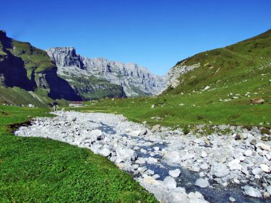 Kayalar ve üst Clariden ve alp Vadisi Urner Boden - Canton Uri, İsviçre altında taşlar