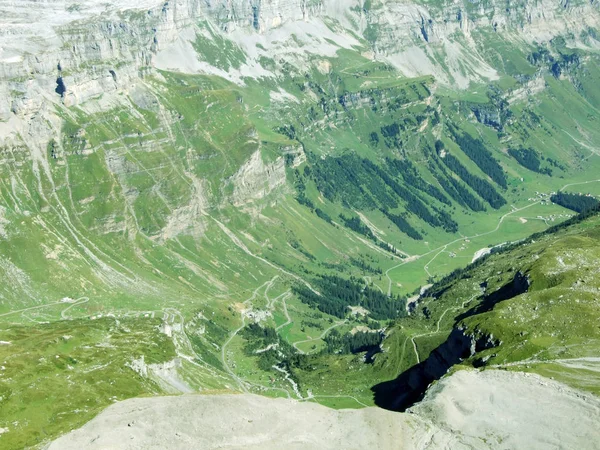 Alp dağ Vadisi mevsimlik otlaklar için Hayvancılık, Urner Boden - Uri, İsviçre