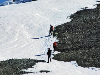 Aşağıda en iyi Clariden - Uri Canton, İsviçre alp Buzulu