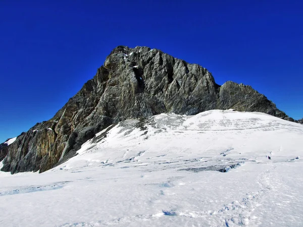 Skalnatý Vrch Tyčící Chammliberg Okolní Ledovce Kanton Uri Švýcarsko — Stock fotografie