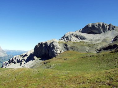 Kayalar ve üst Clariden ve alp Vadisi Urner Boden - Canton Uri, İsviçre altında taşlar