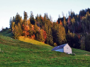 Kırsal çiftlik ve Alt St. Johann in düşündüklerini River Valley - Canton St. Gallen, İsviçre geleneksel mimarisi