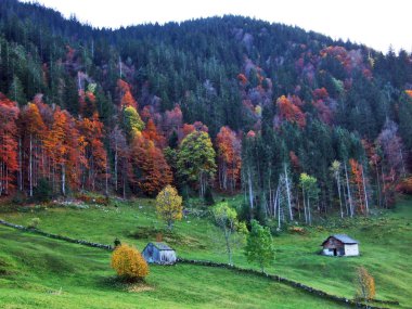 Kırsal çiftlik ve Alt St. Johann in düşündüklerini River Valley - Canton St. Gallen, İsviçre geleneksel mimarisi
