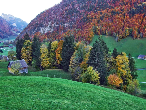 Kırsal Çiftlik Alt Johann Düşündüklerini River Valley Canton Gallen Sviçre — Stok fotoğraf