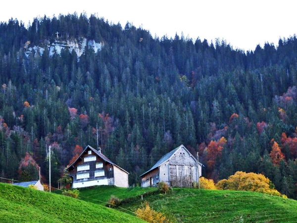 Rural Farms Traditional Architecture Alt Johann Thur River Valley Canton — Fotografia de Stock