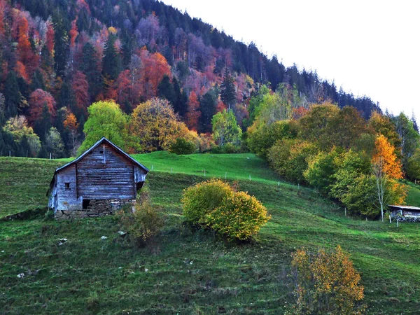 Vidéki Gazdaságok Hagyományos Építészet Alt Johann Thur River Valley Canton — Stock Fotó