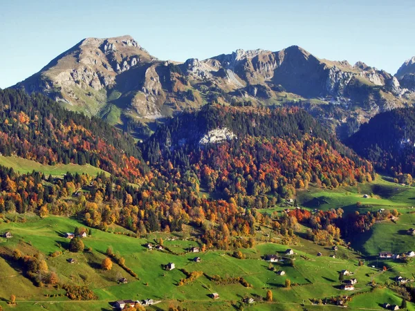 Herbststimmung Auf Den Weiden Und Wiesen Des Flusstals Von Thur — Stockfoto