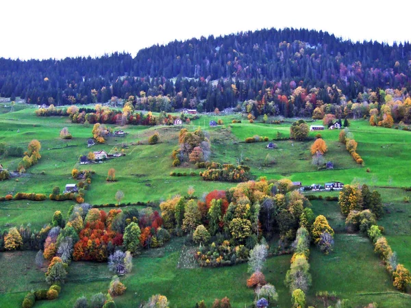 牧草地や木川渓谷 ザンクトガレン スイス カントンの牧草地に秋の感じ — ストック写真