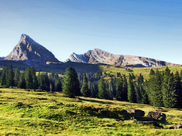 Panorama Richting Alpen Pieken Frumsel Selun Churfirsten Bergketen Kantons Van — Stockfoto