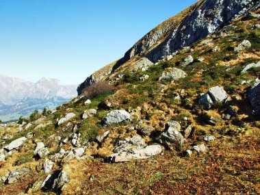 Kayalar ve taşlar Brisi tepesinden ve kayalık vadi Frumseltal - Canton St. Gallen, İsviçre tarafından