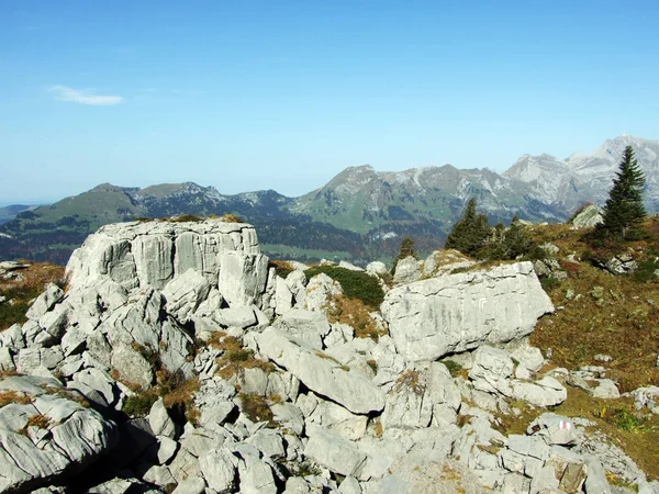 Stânci Pietre Din Vârful Brisi Din Valea Stâncoasă Frumseltal Cantonul — Fotografie, imagine de stoc