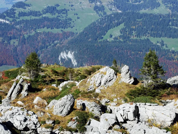 Skály Kameny Shora Brisi Skalnatého Údolí Frumseltal Kantonu Gallen Švýcarsko — Stock fotografie