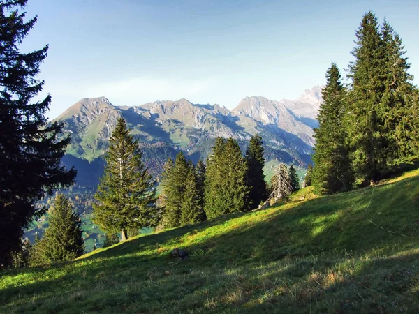 山の範囲 Churfirsten ザンクト ガレンのカントン スイス連邦共和国の下に高原の常緑樹 — ストック写真