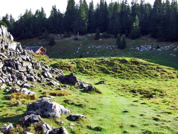 乡村农场与图尔河谷的野豪斯传统建筑 瑞士圣加仑州 — 图库照片