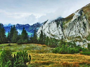Fotojenik mera ve tepeler Alpstein dağ silsilesi - Canton St. Gallen, İsviçre