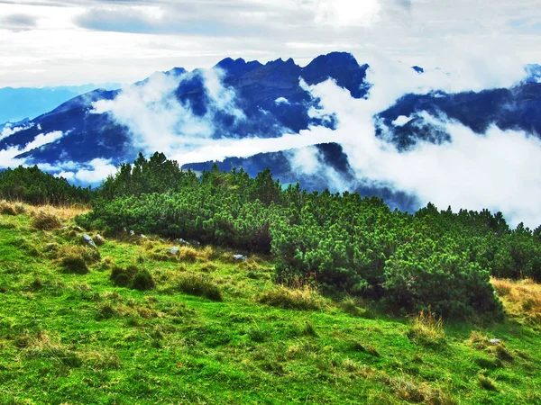 Фотогенічний Пасовища Пагорбів Alpstein Гірського Хребта Кантону Санкт Галлен Швейцарія — стокове фото