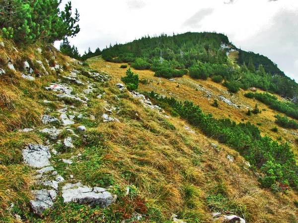 Fotogenická Pastviny Kopce Alpstein Pohoří Kantonu Gallen Švýcarsko — Stock fotografie
