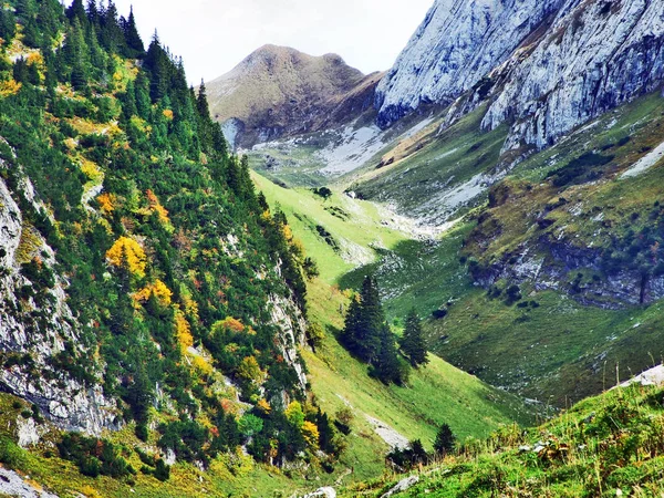 Pastizales Fotogénicos Colinas Cordillera Alpstein Cantón Gallen Suiza —  Fotos de Stock