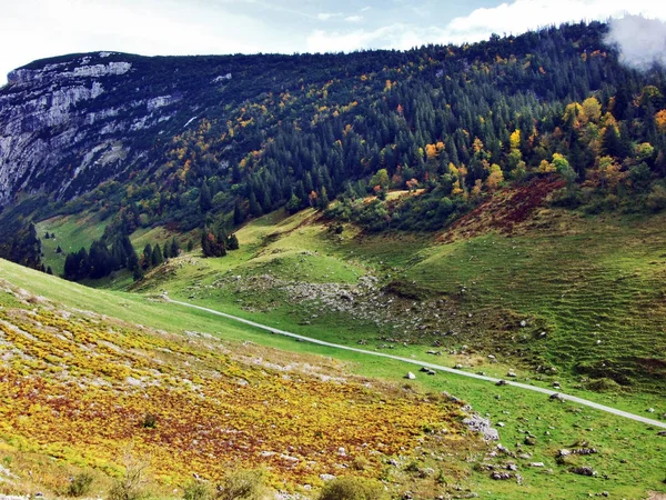 Fotogeniczny Pastwiska Wzgórza Alpstein Pasmo Górskie Kantonu Gallen Szwajcaria — Zdjęcie stockowe