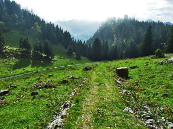 Fotogene Almen Und Hügel Des Alpsteingebirges Kanton Gallen Schweiz — Stockfoto