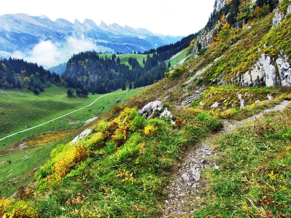 Fotogén Legelők Dombok Alpstein Hegység Gallen Kanton Svájc — Stock Fotó