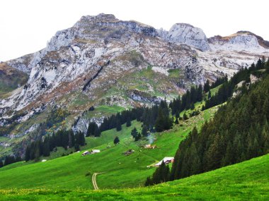 Sonbahar atmosfer mera ve tepeler düşündüklerini River Valley - St. Gallen Kantonu, İsviçre
