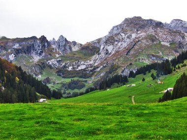 Sonbahar atmosfer mera ve tepeler düşündüklerini River Valley - St. Gallen Kantonu, İsviçre