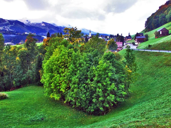 Jesienna Atmosfera Pastwiska Wzgórz Dolinie Rzeki Thur Kantonu Gallen Szwajcaria — Zdjęcie stockowe