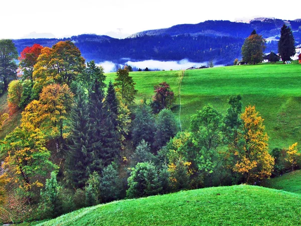 목초지와 구획의 세인트 스위스에 언덕에가 분위기 — 스톡 사진