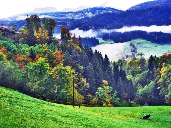 Осенняя Атмосфера Пастбищах Холмах Долине Реки Тур Кантон Санкт Галлен — стоковое фото