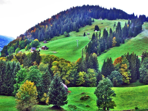 Őszi Hangulat Legelők Hegyek Thur River Valley Gallen Kanton Svájc — Stock Fotó