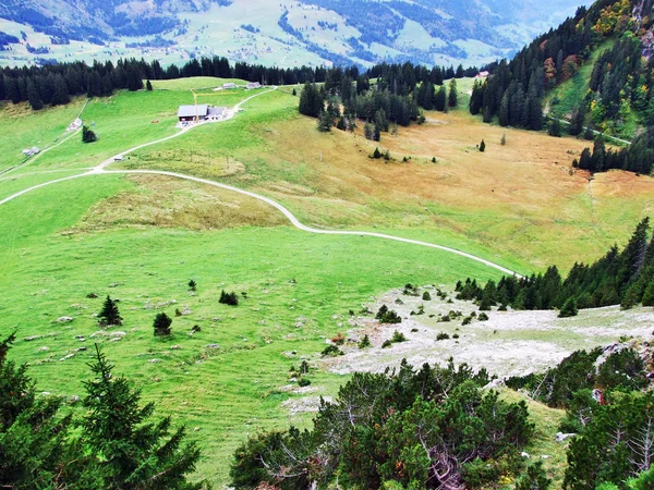 Ambiente Otoñal Pastos Colinas Valle Del Río Thur Cantón Gallen —  Fotos de Stock