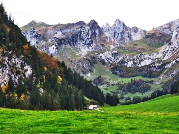 牧草地と木川渓谷 ザンクト ガレンのカントン スイス連邦共和国の丘の秋の雰囲気 — ストック写真