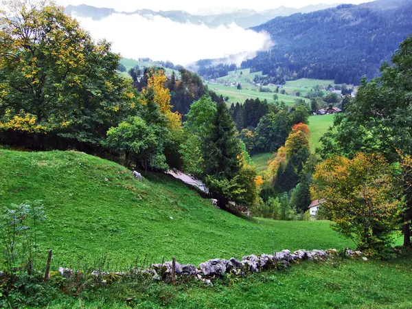 瑞士圣加仑州 图尔河谷牧场和丘陵上的秋天气氛 — 图库照片