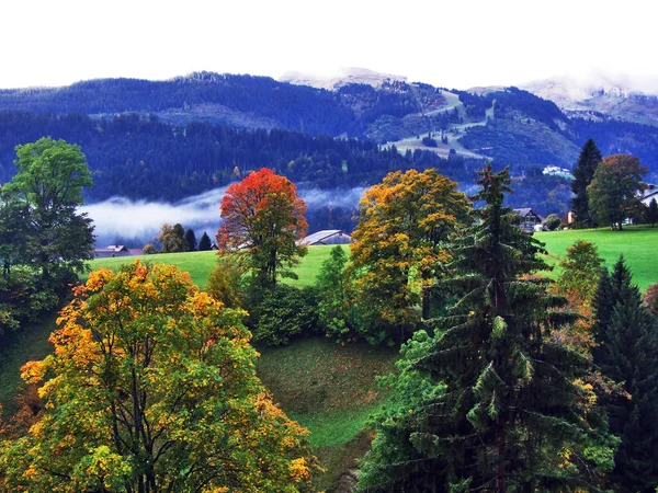 Herbstfarben Den Wäldern Des Alpsteingebirges Und Des Thur Flusstals Kanton — Stockfoto